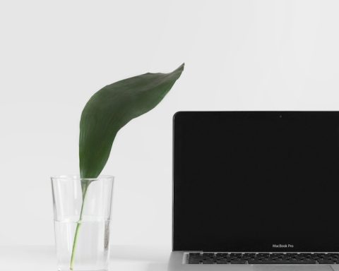 MacBook Pro beside plant in vase