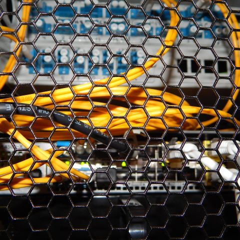 Een ethernetkabel aangesloten op een router voor een stabiele internetverbinding met lage ping