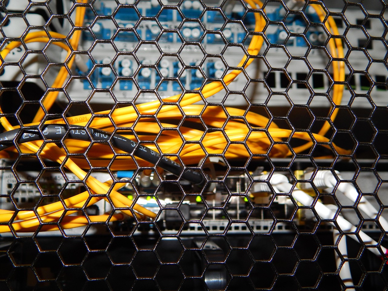 Een ethernetkabel aangesloten op een router voor een stabiele internetverbinding met lage ping